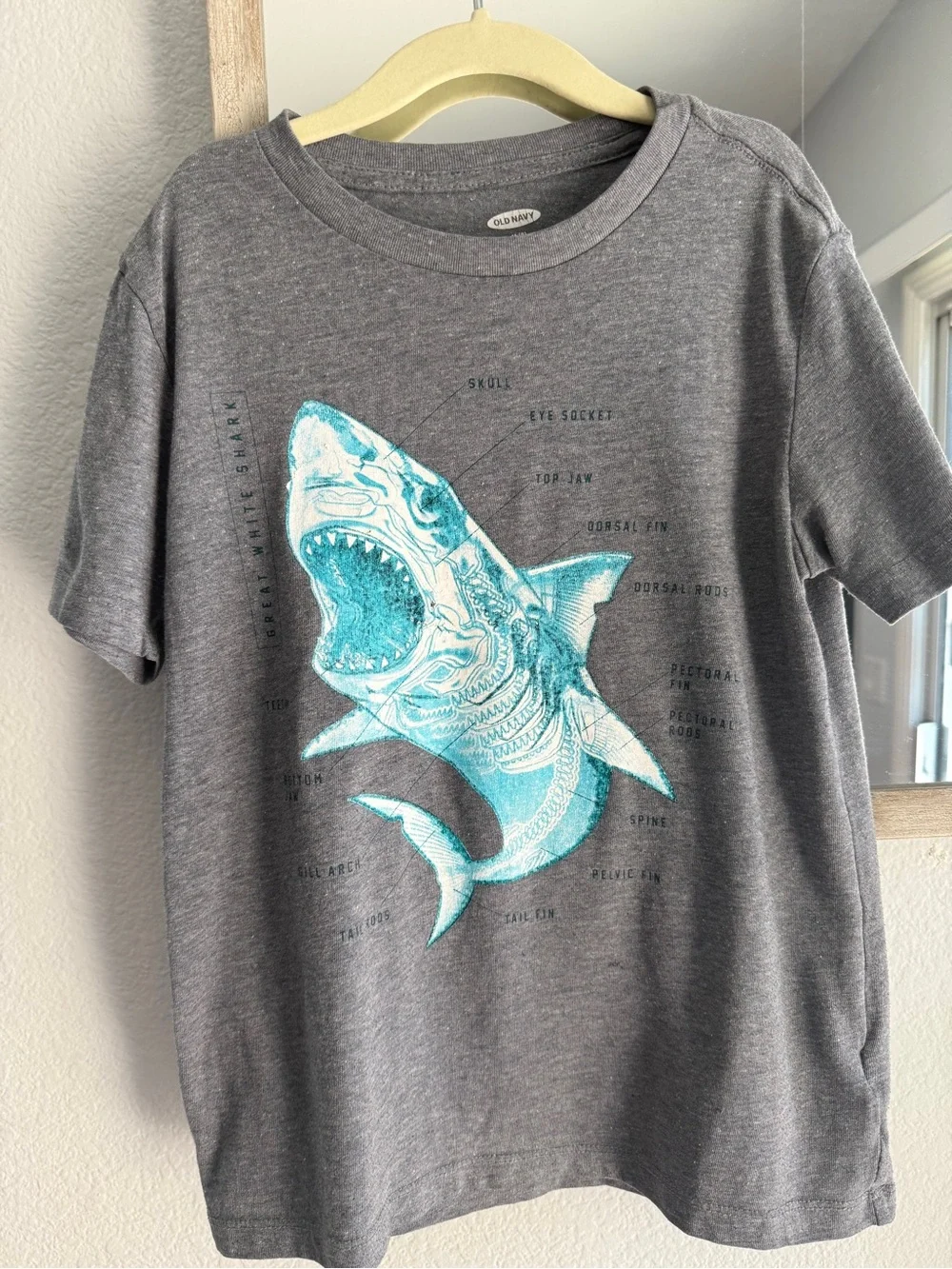 🟢3/$15 🦈 Old Navy Boys Gray Great White Shark Anatomy Graphic Tee